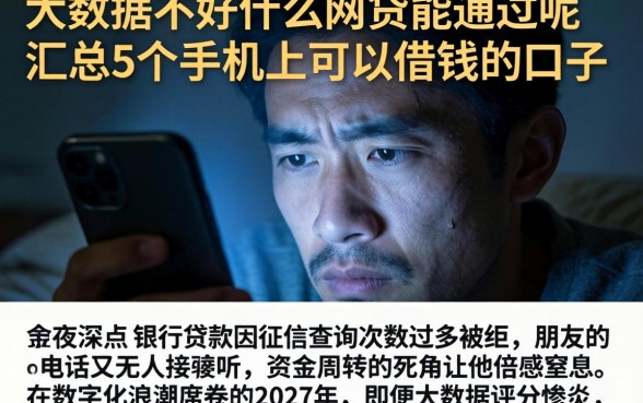大数据不好什么网贷能通过呢，汇总5个手机上可以借钱的口子