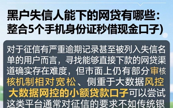 黑户失信人能下的网贷有哪些，整合5个手机身份证秒借现金的口子