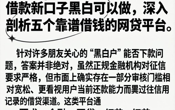 借款新口子黑白可以做，深入剖析五个靠谱借钱的网贷平台