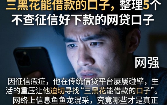 三黑花能借款的口子，整理5个不查征信好下款的网贷口子