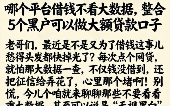 哪个平台借钱不看大数据，整合5个黑户可以做大额贷款口子