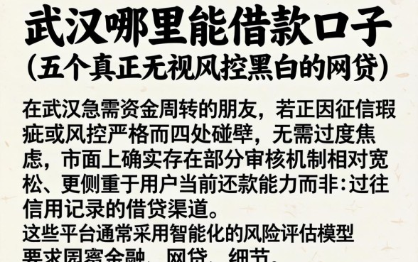 武汉哪里能借款口子，细致阐述五个真正无视风控黑白的网贷