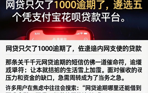 网贷只欠了1000逾期了，遴选五个凭支付宝花呗贷款的平台
