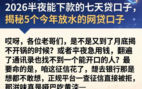 2026半夜能下款的七天贷口子，揭秘5个今年放水的网贷口子