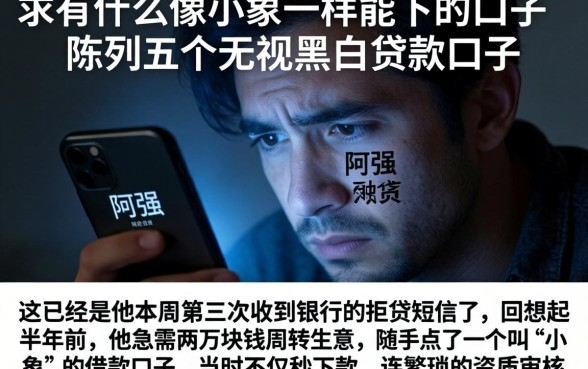 求有什么像小象一样能下的口子，陈列五个无视黑白贷款口子
