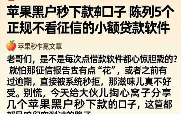 苹果黑户秒下款的口子，陈列5个正规不看征信的小额贷款软件