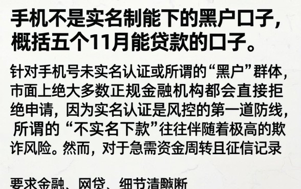 手机不是实名制能下的黑户口子，概括五个11月能贷款的口子