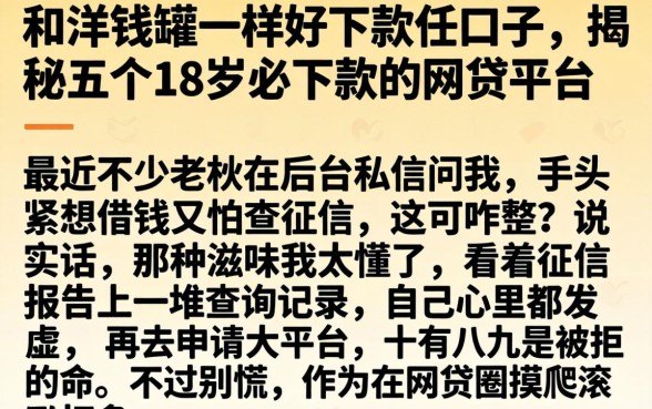 和洋钱罐一样好下款的口子，揭秘五个18岁必下款的网贷平台