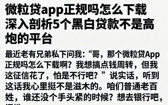 微粒贷app正规吗怎么下载，深入剖析5个黑白贷款不是高炮的平台
