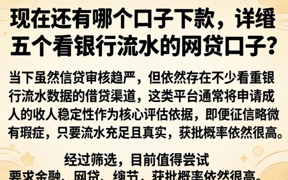 现在还有哪个口子下款,详尽说明五个看银行流水的网贷口子