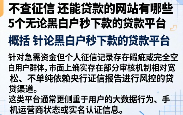 不查征信 还能贷款的网站有哪些，概括5个无论黑白户秒下款的贷款平台