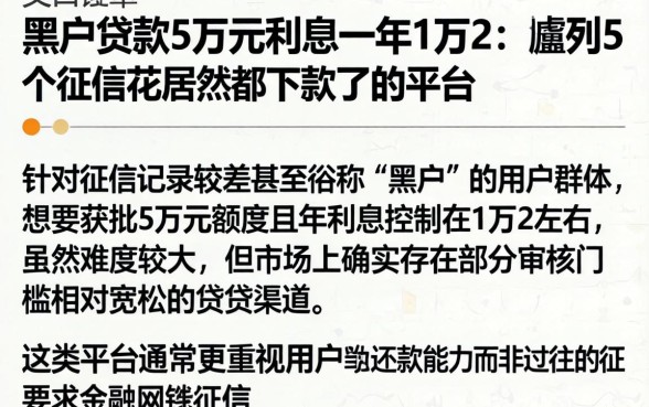 黑户贷款5万元利息一年1万2，胪列5个征信花居然都下款了的平台