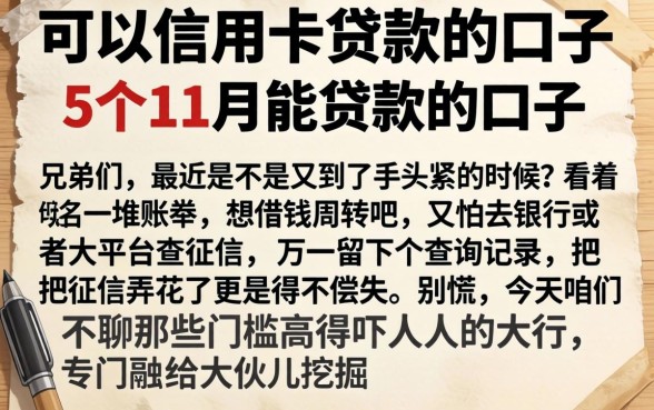 可以信用卡贷款的口子，详细阐述5个11月能贷款的口子