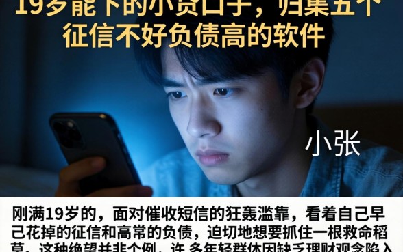 19岁能下的小贷口子，归集五个征信不好负债高的软件