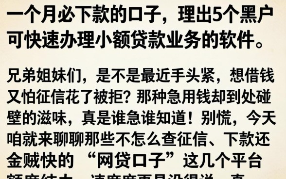 一个月必下款的口子,理出5个黑户可快速办理小额贷款业务的软件