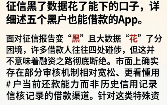 征信黑了数据花了能下的口子，详细阐述五个黑户也能借款的app