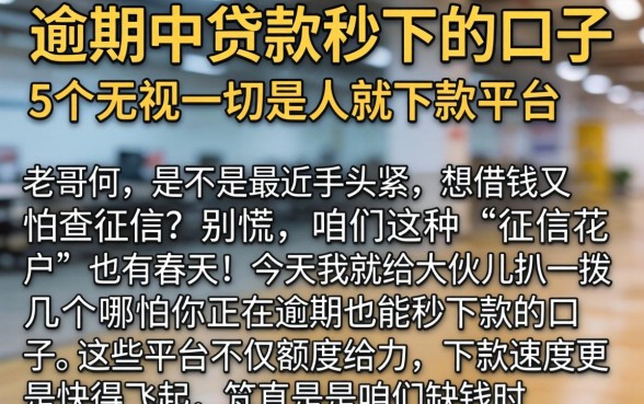 逾期中贷款秒下的口子，详细阐述5个无视一切是人就下款平台