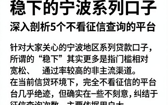 稳下的宁波系列口子,深入剖析5个不看征信查询的平台