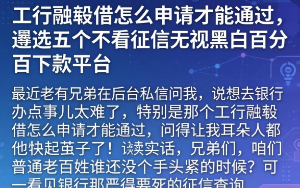 工行融e借怎么申请才能通过,遴选五个不看征信无视黑白百分百下款平台