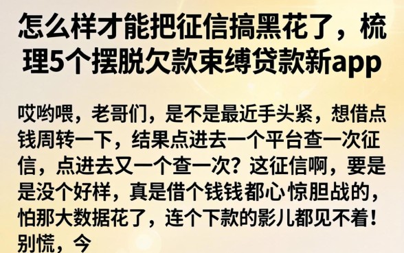 怎么样才能把征信搞黑花了，梳理5个摆脱欠款束缚贷款新app
