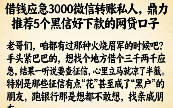 借钱应急3000微信转账私人，鼎力推荐5个黑户好下款的网贷口子
