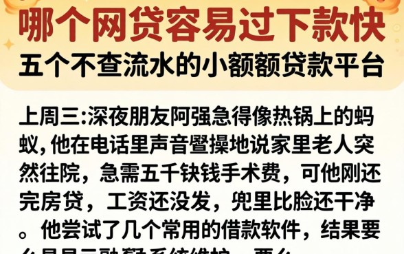 哪个网贷容易过下款快，详细阐述五个不查流水的小额度贷款平台