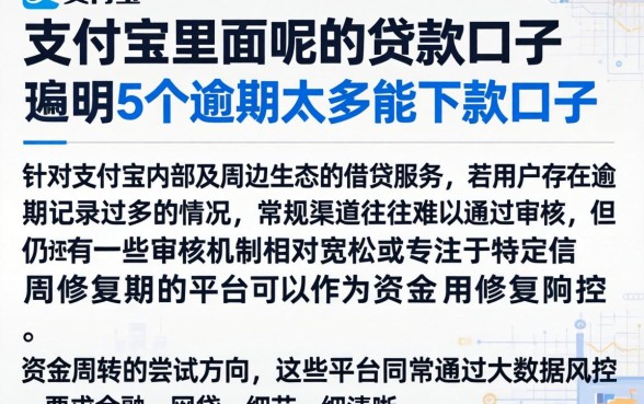 支付宝里面呢的贷款口子，详尽说明5个逾期太多能下款口子