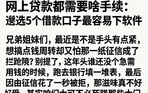 网上贷款都需要啥手续，遴选5个借款口子最容易下软件