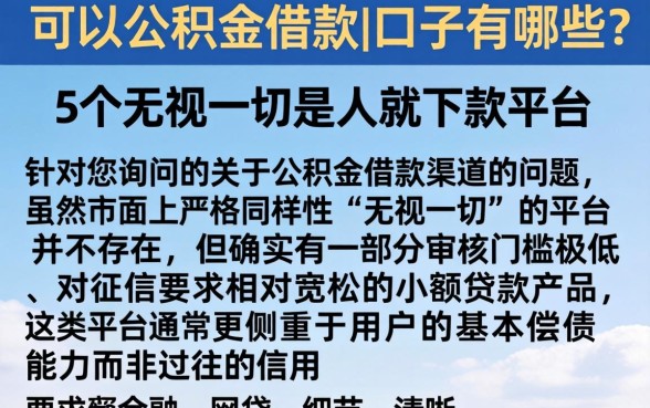 可以公积金借款的口子有哪些，详细阐述5个无视一切是人就下款平台