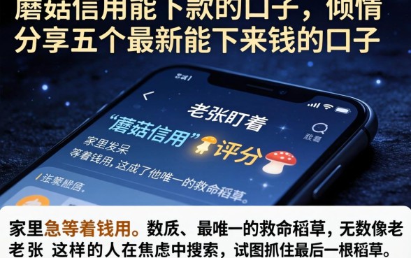 蘑菇信用能下款的口子,倾情分享五个最新能下来钱的口子