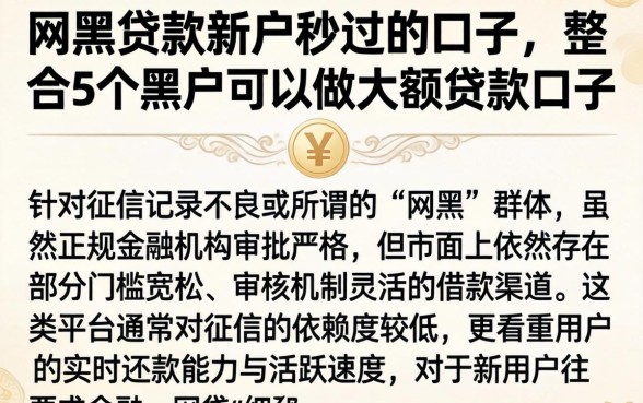 网黑贷款新户秒过的口子，整合5个黑户可以做大额贷款口子
