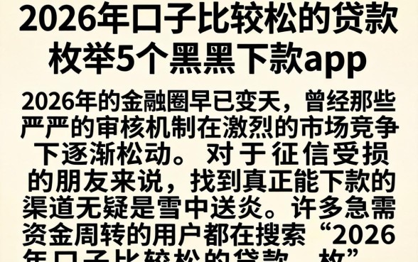 2026年口子比较松的贷款，枚举5个黑户下款app