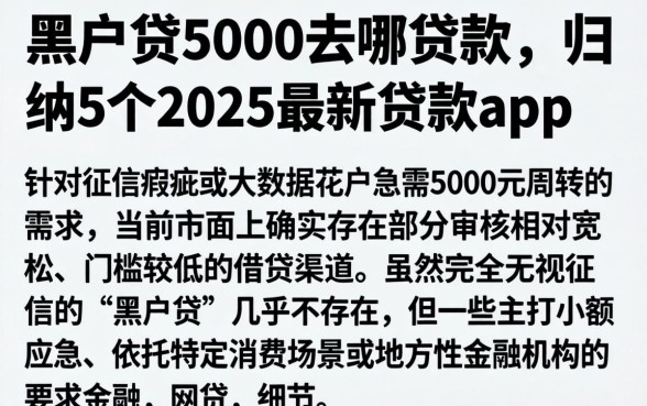 黑户贷5000去哪贷款,归纳5个2025最新贷款app