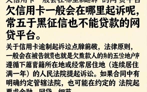 欠信用卡一般会在哪里起诉呢，枚举五个黑征信也能贷款的网贷平台