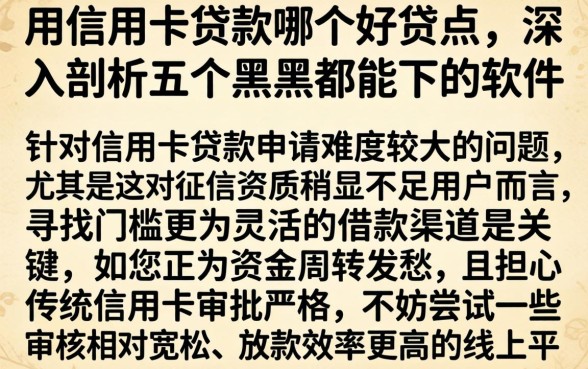 用信用卡贷款哪个好贷点，深入剖析五个黑户都能下的软件