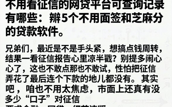 不用看征信的网贷平台可查询记录有哪些，枚举5个不用面签和芝麻分的贷款软件