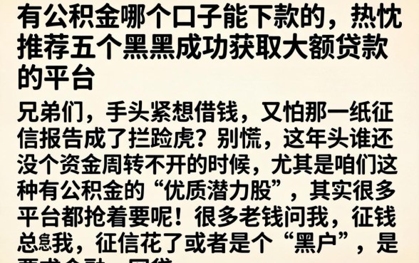 有公积金哪个口子能下款的，热忱推荐五个黑户成功获取大额贷款的平台