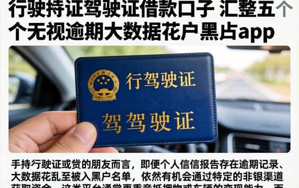 行驶证驾驶证借款口子，汇整五个无视逾期大数据花户黑户app