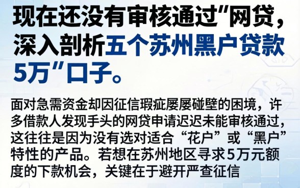 现在还没有审核通过的网贷，深入剖析五个苏州黑户贷款5万的口子