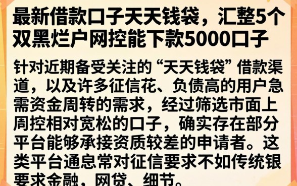 最新借款口子天天钱袋,汇整5个双黑烂户风控能下款5000口子