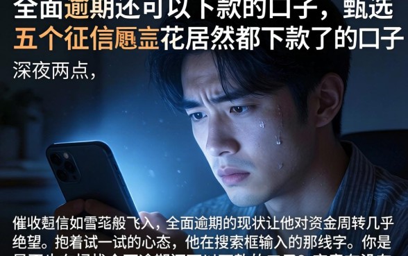 全面逾期还可以下款的口子，甄选五个征信花居然都下款了的口子
