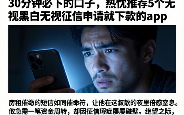 30分钟必下的口子,热忱推荐5个无视黑白无视征信申请就下款的app