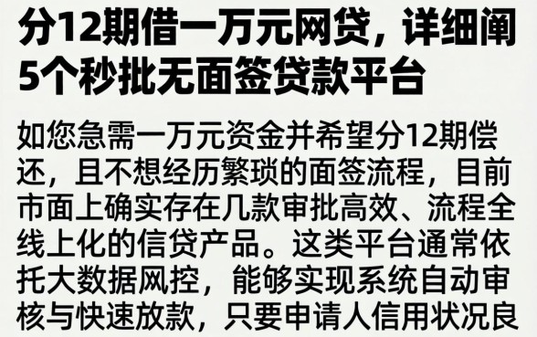 分12期借一万元网贷，详细阐述5个秒批无面签贷款平台
