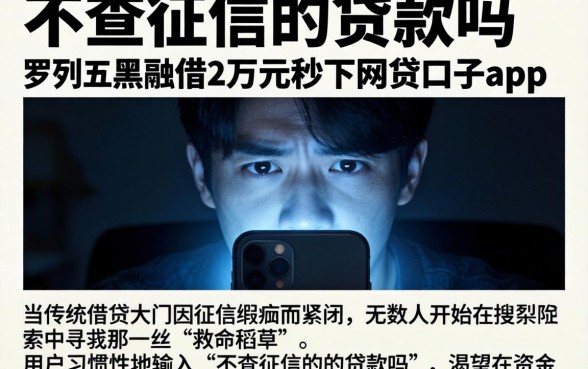 不查征信的的贷款吗,罗列五个黑户借2万元秒下网贷口子app