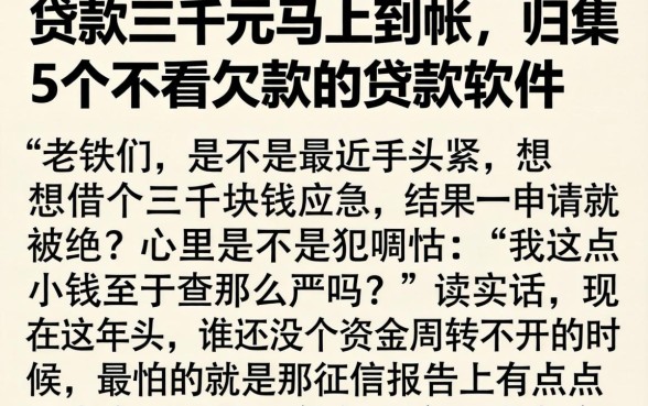贷款三千元马上到帐的，归集5个不看欠款的贷款软件