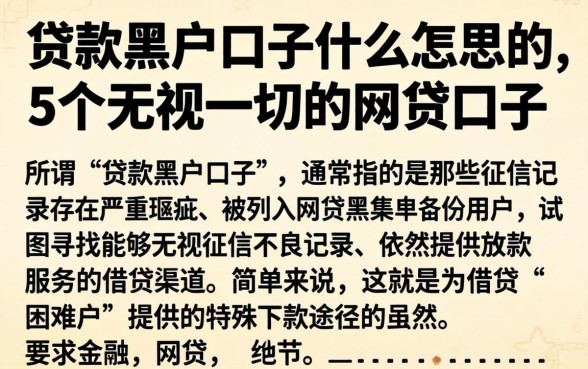 贷款黑户口子什么意思，详尽说明5个无视一切的网贷口子
