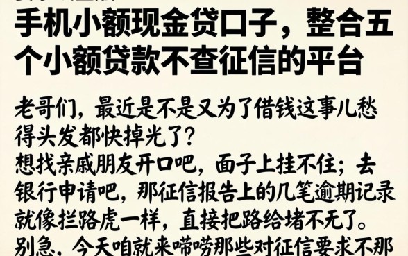 手机小额现金贷口子，整合五个小额贷款不查征信的平台