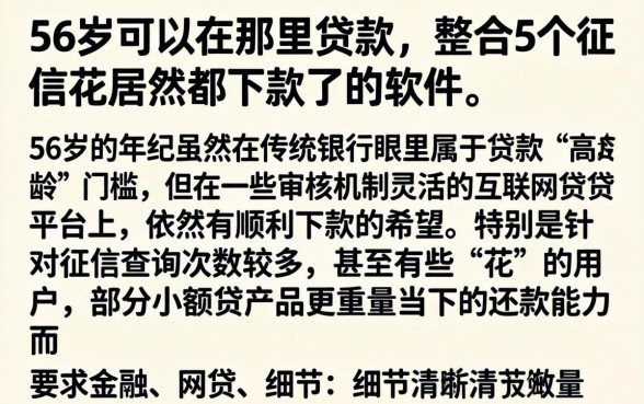56岁可以在那里贷款，整合5个征信花居然都下款了的软件