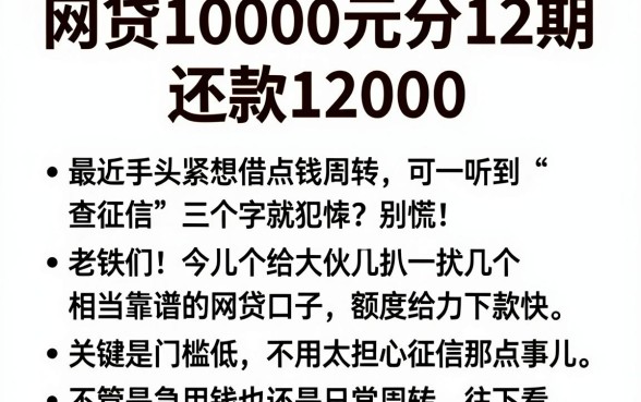网贷10000元分12期,还款12000,罗列5个秒批网贷轻松贷的app