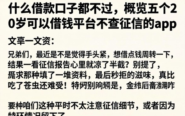 什么借款口子都不过，概览五个20岁可以借钱平台不查征信的app